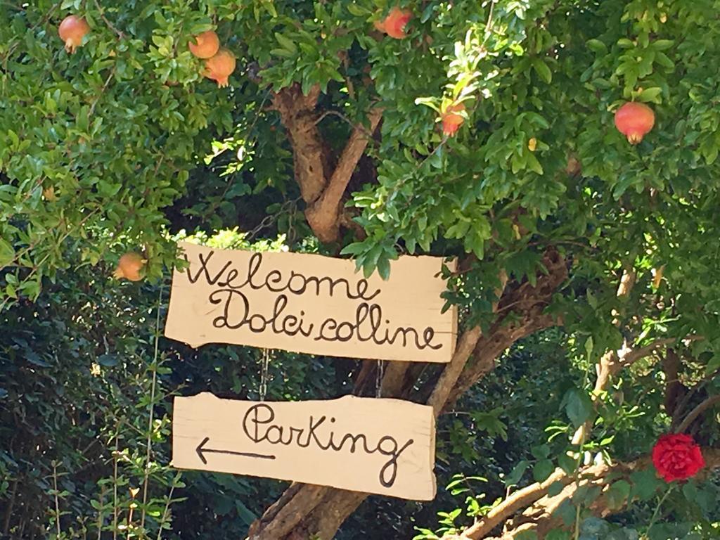 Borgo Dolci Colline Villa Castiglion Fiorentino Buitenkant foto